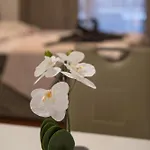 Apartmaji Irma *