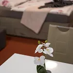 Daire Apartmaji Irma *