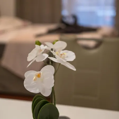 Apartmaji Irma *