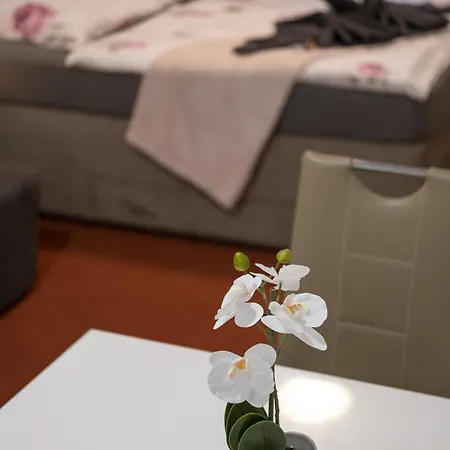 Apartmán Apartmaji Irma *