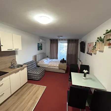 Apartmán Apartmaji Irma