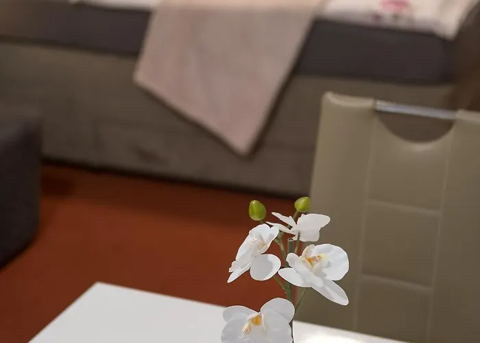 דירה Apartmaji Irma *